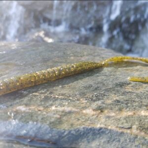 10" Ribbon Tail Worm